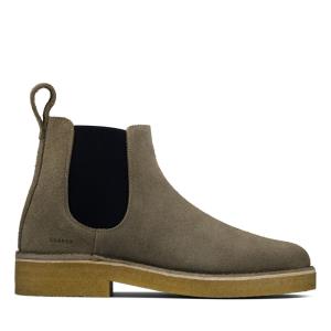 Botas Chelsea Clarks Desert Chelsea 2 Masculino Cinzentas | CLK851BFA