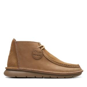 Botins Clarks Colehill Wally Masculino Marrom | CLK793LXE