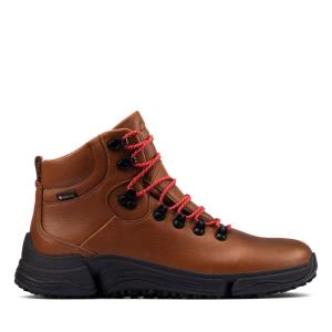 Botins Clarks Tri Path Day GORE-TEX Feminino Marrom Escuro | CLK642TKU