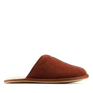 Chinelos Clarks Kite Seam Masculino Marrom Escuro | CLK235BQM