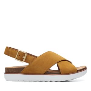 Sandalias Clarks Elayne Cross Feminino Marrom | CLK709SGX