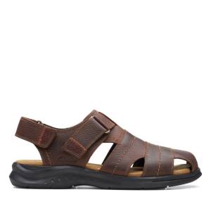 Sandalias Clarks Hapsford Cove Masculino Marrom | CLK837HAZ