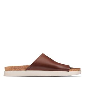 Sandalias Clarks Sunder Chinelos Masculino Marrom | CLK978KFQ