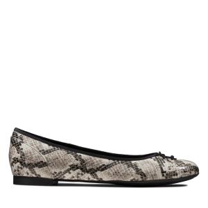 Sapatos Rasos Clarks Couture Bloom Feminino Cinzentas Serpentine | CLK456RPE