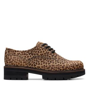 Sapatos Rasos Clarks Orianna Derby Feminino Leopardo | CLK753QSX