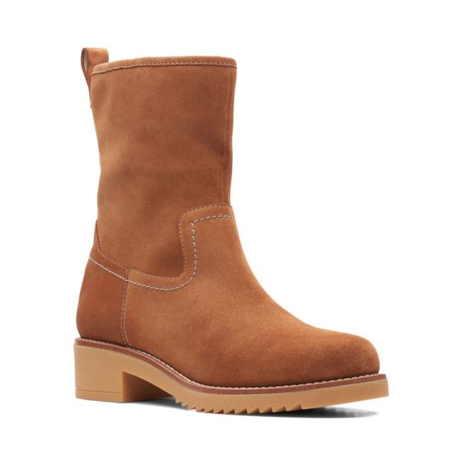 Botas Casual Clarks Eden Medio Hi Feminino Marrom Escuro | CLK163IAD