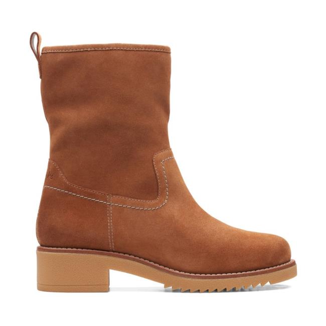 Botas Casual Clarks Eden Medio Hi Feminino Marrom Escuro | CLK163IAD