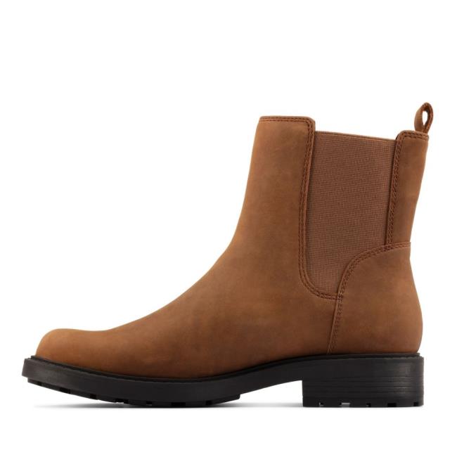 Botas Chelsea Clarks Orinoco 2 Top Feminino Marrom | CLK869YBA