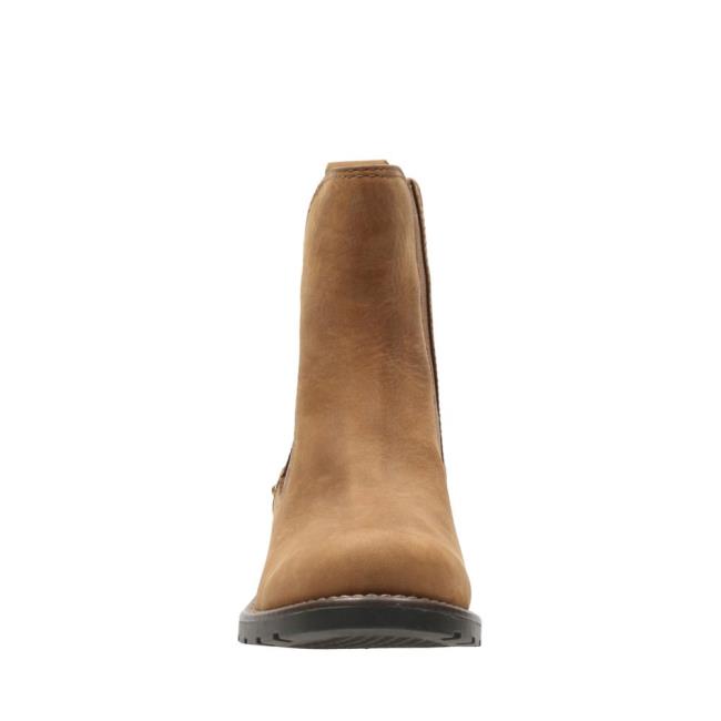 Botas Chelsea Clarks Orinoco Club Feminino Marrom | CLK257HVN