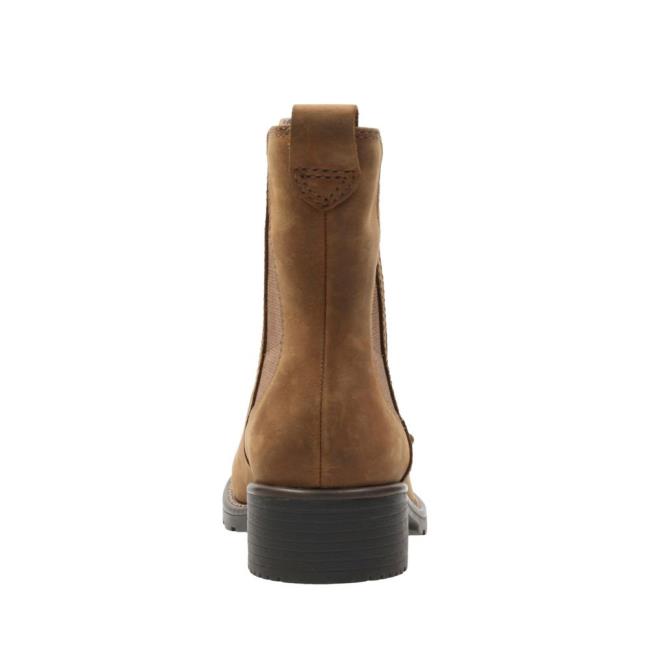 Botas Chelsea Clarks Orinoco Club Feminino Marrom | CLK257HVN