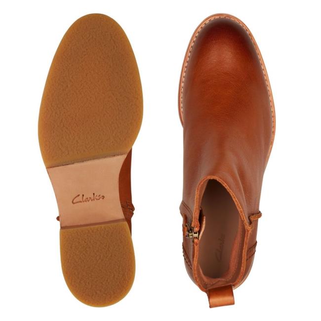 Botins Clarks Cologne Zip Feminino Marrom Escuro | CLK491ETD