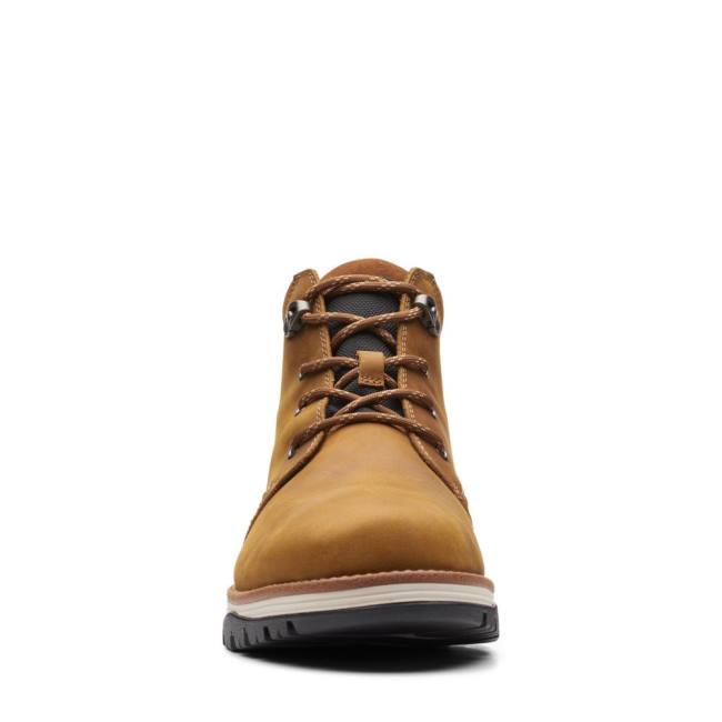 Botins Clarks Topton Medio GORE-TEX Masculino Marrom | CLK390VPX