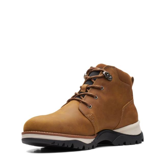 Botins Clarks Topton Medio GORE-TEX Masculino Marrom | CLK390VPX