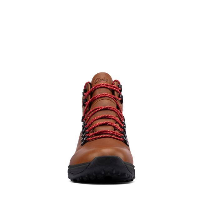 Botins Clarks Tri Path Day GORE-TEX Feminino Marrom Escuro | CLK642TKU