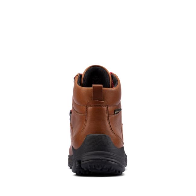 Botins Clarks Tri Path Day GORE-TEX Feminino Marrom Escuro | CLK642TKU