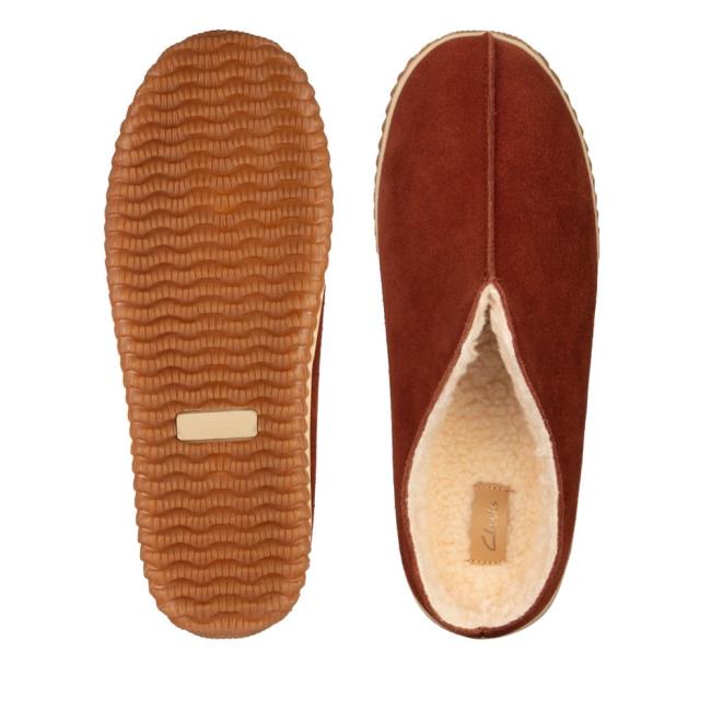 Chinelos Clarks Home Estilo Masculino Marrom Escuro | CLK809TQB