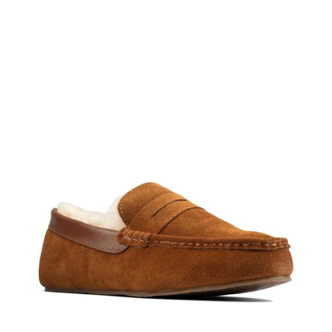 Chinelos Clarks Kite Warm Masculino Marrom Escuro | CLK147ZTA