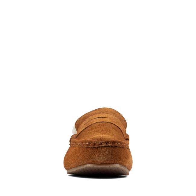 Chinelos Clarks Kite Warm Masculino Marrom Escuro | CLK147ZTA