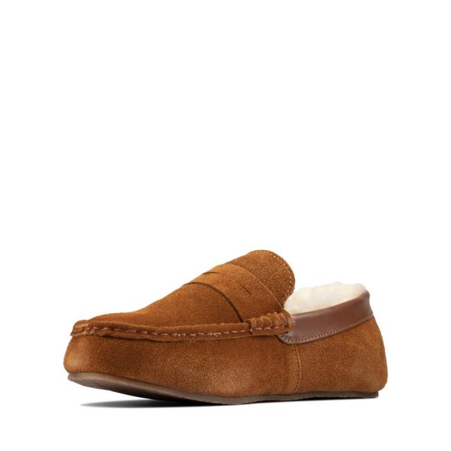 Chinelos Clarks Kite Warm Masculino Marrom Escuro | CLK147ZTA