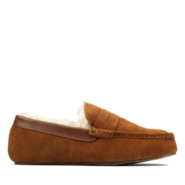 Chinelos Clarks Kite Warm Masculino Marrom Escuro | CLK147ZTA