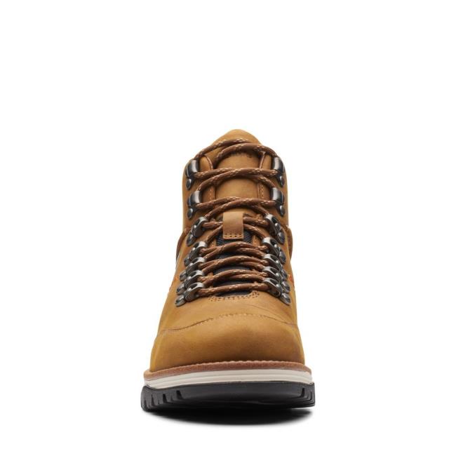 Originals Botas Clarks ToptonPine GTX Masculino Marrom | CLK815FGU