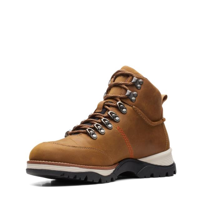 Originals Botas Clarks ToptonPine GTX Masculino Marrom | CLK815FGU