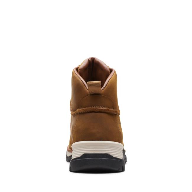 Originals Botas Clarks ToptonPine GTX Masculino Marrom | CLK815FGU