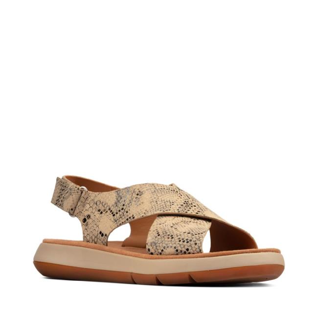 Sandalias Clarks Jemsa Cross Feminino Cinzentas Marrom Serpentine | CLK073UWP