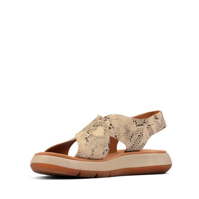 Sandalias Clarks Jemsa Cross Feminino Cinzentas Marrom Serpentine | CLK073UWP