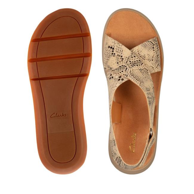 Sandalias Clarks Jemsa Cross Feminino Cinzentas Marrom Serpentine | CLK073UWP