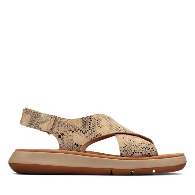 Sandalias Clarks Jemsa Cross Feminino Cinzentas Marrom Serpentine | CLK073UWP