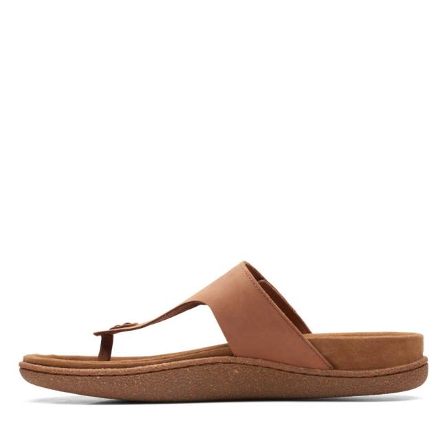 Sandalias Clarks Pilton Post Masculino Marrom Escuro | CLK043WFU