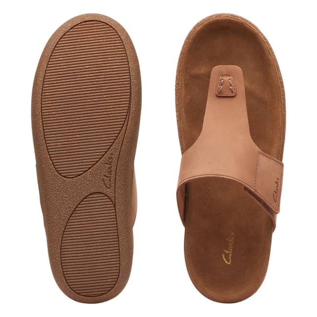 Sandalias Clarks Pilton Post Masculino Marrom Escuro | CLK043WFU