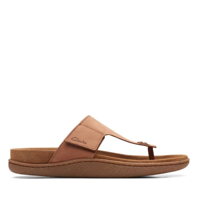 Sandalias Clarks Pilton Post Masculino Marrom Escuro | CLK043WFU