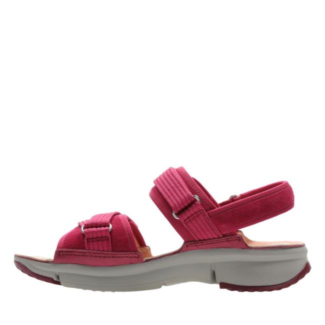 Sandalias Clarks Tri Walk Feminino Roxo | CLK827DNB