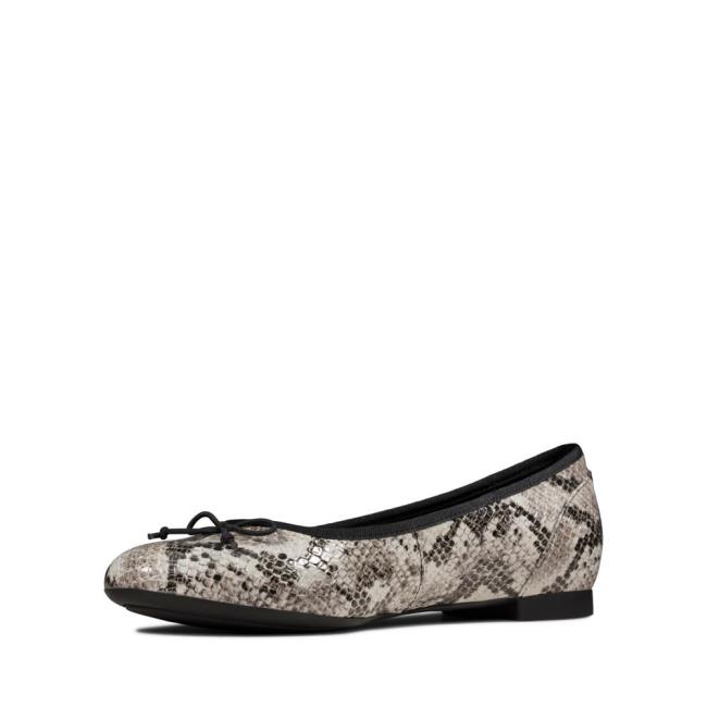 Sapatos De Ballet Clarks Couture Bloom Feminino Cinzentas Serpentine | CLK834YLH