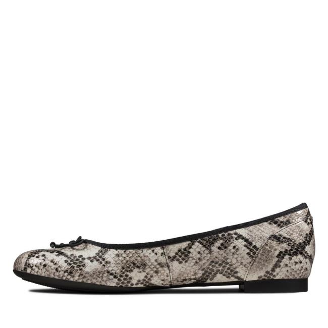 Sapatos De Ballet Clarks Couture Bloom Feminino Cinzentas Serpentine | CLK834YLH