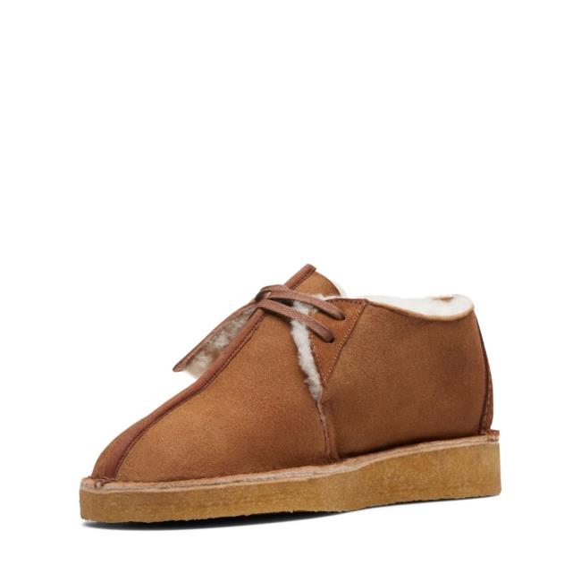 Sapatos Rasos Clarks Desert Trek Feminino Marrom | CLK094VKB