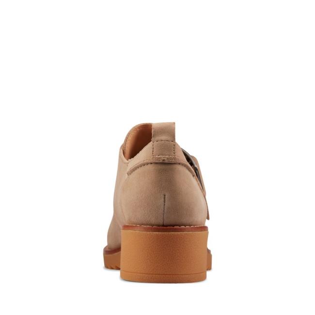 Sapatos Rasos Clarks Eden Medio Monk Feminino Marrom | CLK406WVQ